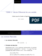 Beamer Tema1 PDF