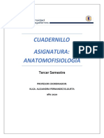 FECHAS DE EVALUACION ANATOMO-FISIOLOGIA  ONLINE-2020.doc