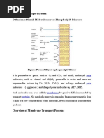 Membrane Transport System