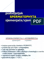 Spermatophyta Gymnospermae Online-2020