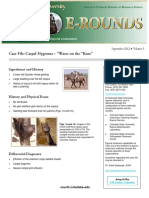 Equine Medicine Surgery Case Study 201209 Hygroma