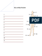 Complete The Parts of The Body PDF
