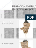 Experimentacion Formal Construccion Rector Ana Forster