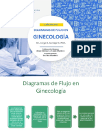 FlujoGine-2020.pdf