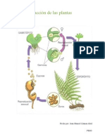 Reproducción plantas, corales y algas