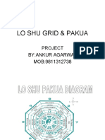 46861865-Lo-Shu-Grid-Pakua1.pdf