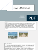 Dunas costeras: ecosistemas amenazados