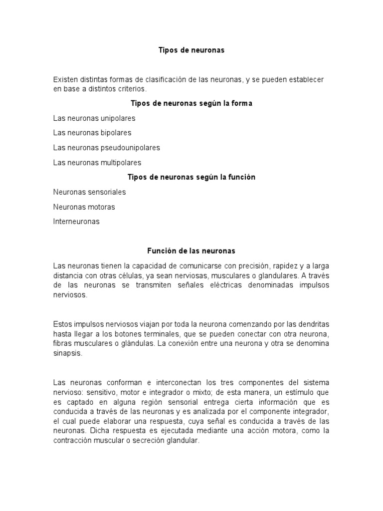 Tipos y funciones de las neuronas | PDF | Neurona | Sinapsis