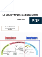 Clase 3 Célula y Organelos Subcelulares I 2020 PDF