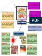 Mapa Metamorficas