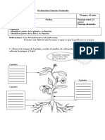 Evaluación Las Plantas