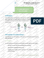Cours BP Fleuriste L Absorption Racinaire 1 PDF