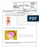 Guia Nº 8 CIENCIAS NATURALES  sistema nervioso