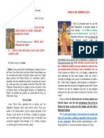 Terco Da Libertacao PDF