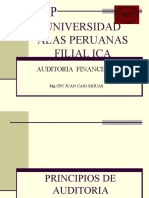 2 Principios de Auditoria Financiera