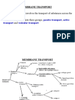 Lecture 3: Membrane Transport - 2018 (FSM)
