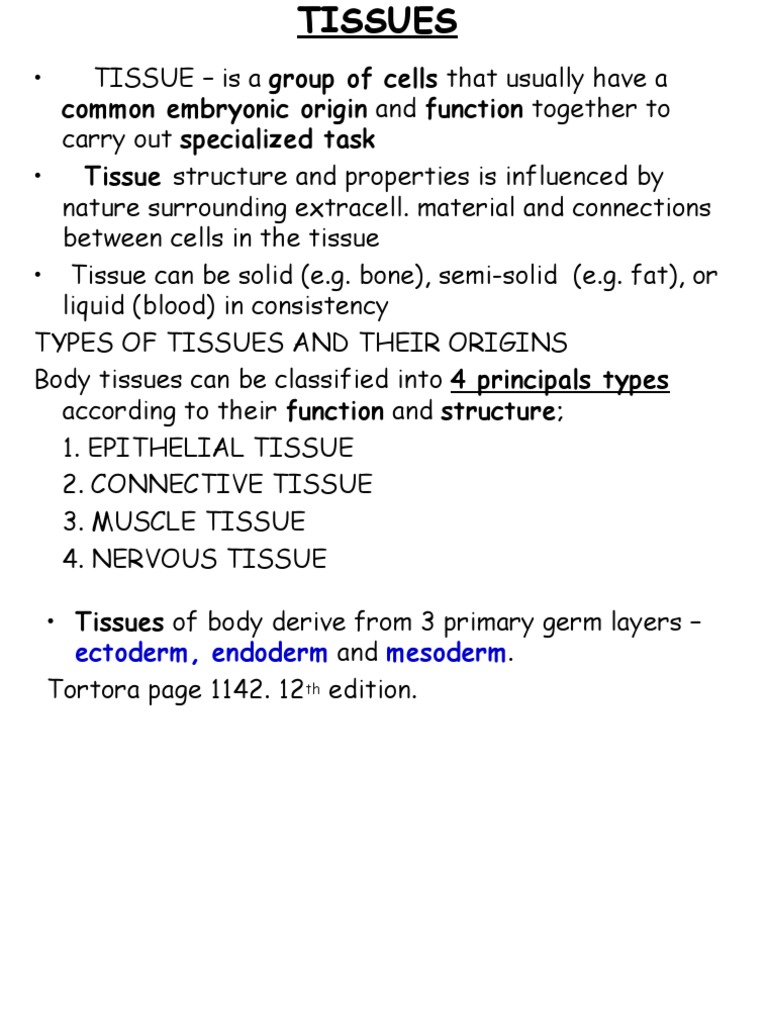 Overview of Body Tissue Types | PDF | Epithelium | Connective Tissue