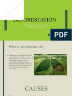 Deforestation: By: Isabela Sofia Cortes Jaramillo Mariana Vergara Arbeláez