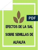 El efecto de la salinidad en la germinación de semillas de alfalfa