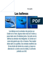 Anexos de Español_Las ballenas                                                                                           Texto expositivo