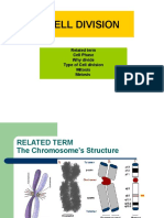 Cell Division: Related Term Cell Phase Why Divide Type of Cell Division Mitosis Meiosis