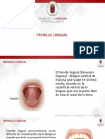 4C FRENILLO LINGUAL (1).pptx