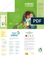 Guardianes Dig Camisa PDF