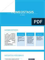 Homeostasis: Ms. Mirah