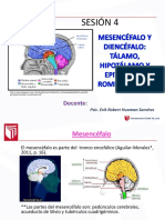 Clase 4 Mesencéfalo-Diencéfalo-Rombencéfalo