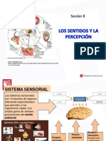 CLASE_8-LOS_SENTIDOS_Y_LA_PERCEPCIÓN_-2018