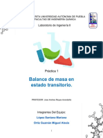 Práctica 1. Balance de masa en estado transitorio..pdf