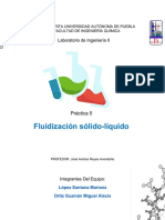 Práctica 5. Fluidización Sólido-Líquido PDF