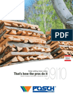 Posch 2010 Engelska S PDF