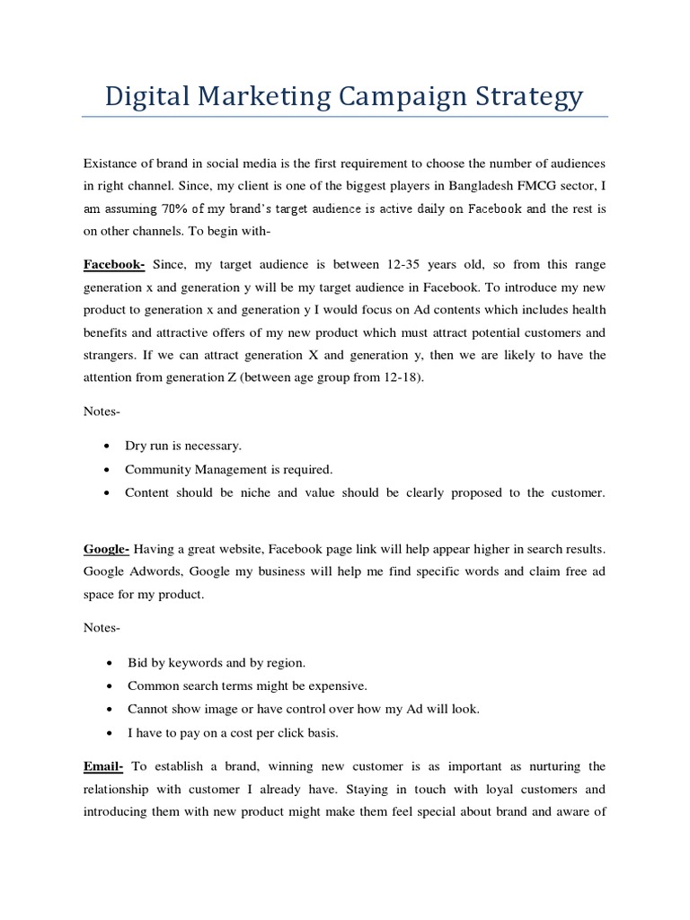 Digital Marketing Campaign | PDF | Target Audience | Advertising