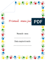 Primul Meu Jurnal PDF