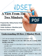 A View From The Two Mindsets