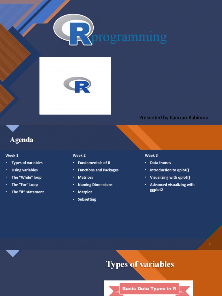 R Programming Basics | PDF