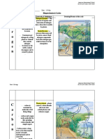 Copy of Copy of Biogeochemical Cycles Worksheet
