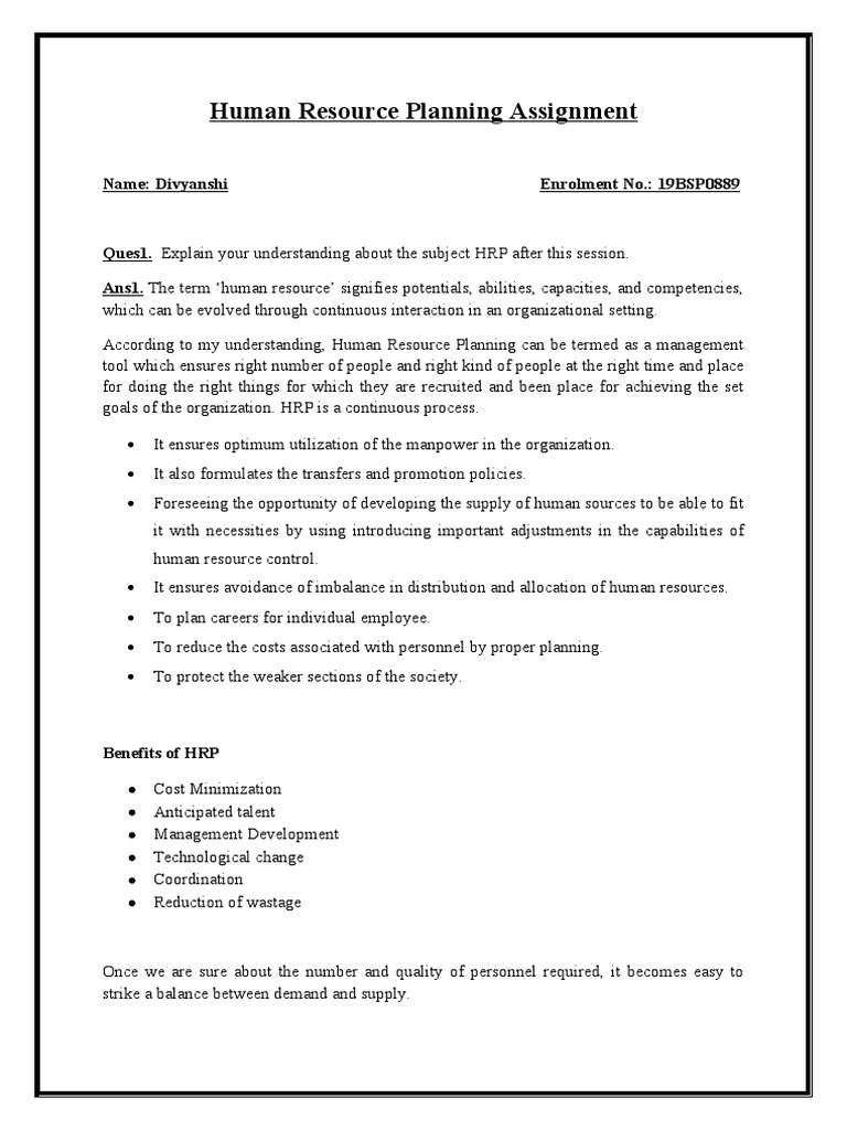 Human Resource Planning Assignment PDF Human Resource Management