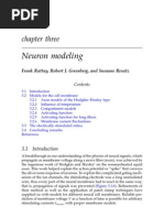 Download Neuron modeling Rattay-Greenberg-Resatz by hdlchip SN46522426 doc pdf
