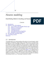 Neuron modeling Rattay-Greenberg-Resatz