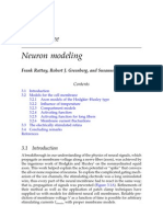 Neuron Modeling Rattay-Greenberg-Resatz