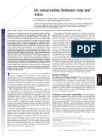 Estimating Genome Conservation Between Crop and Model Legume Species