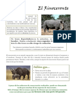 Rinocerontes: grandes mamíferos en peligro