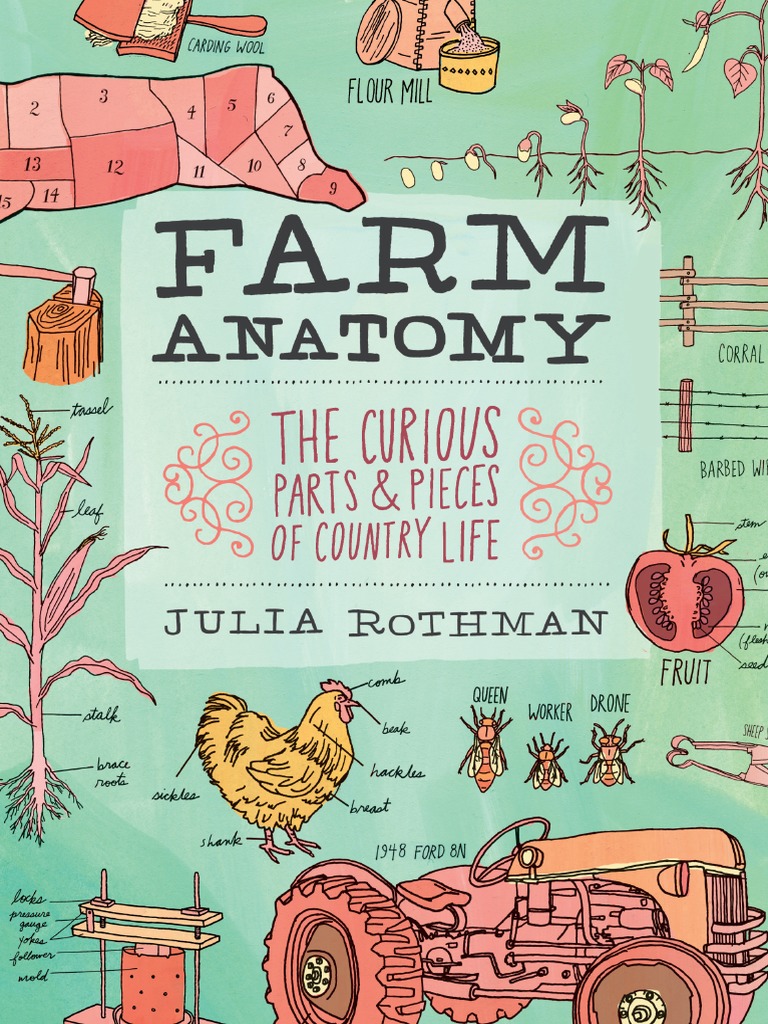 Farm Anatomy Julia Rothman PDF PDF