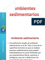 AS01 Ambientes Sedimentarios PDF