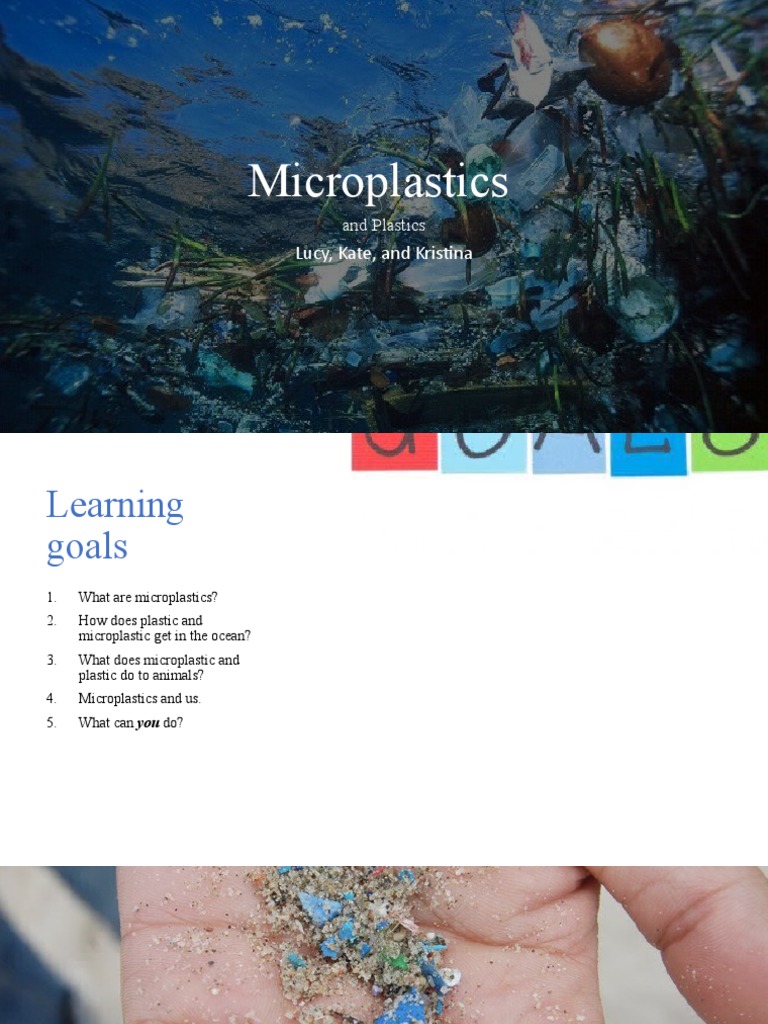 Understanding Microplastics and Their Impact | PDF | Sea Turtle | Water