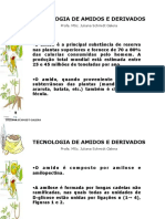 Amido .pdf