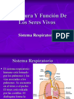 Estructura Y Función de Los Seres Vivos