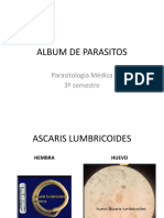 ALBUM DE PARASITOS - 2 Parcial